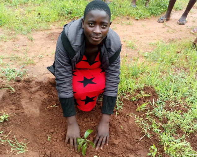 NatureKit - Tree Planting image