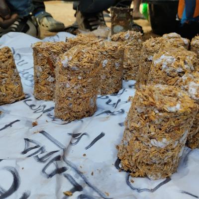 Briquettes