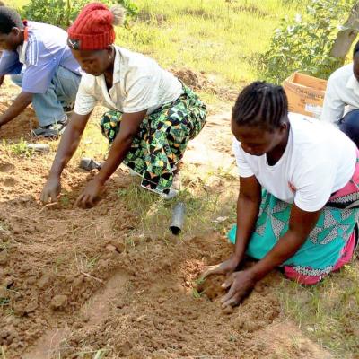 Tree Planting